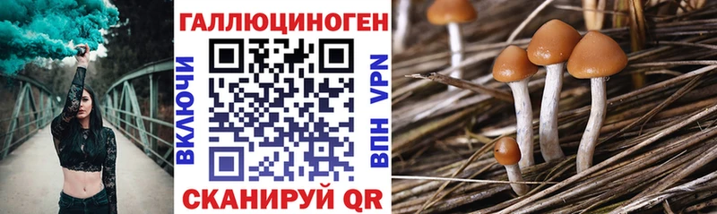 Галлюциногенные грибы ЛСД  Краснотурьинск 